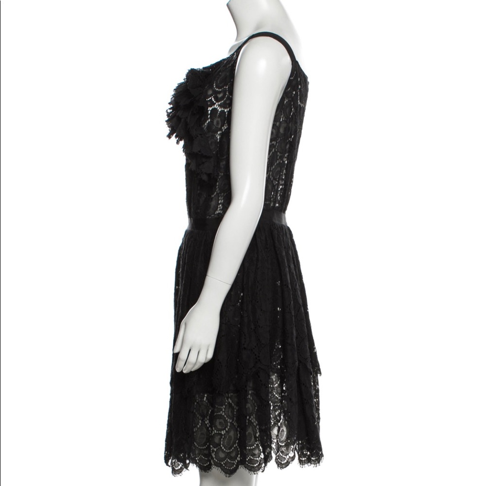 Nina Ricci Eyelet A-line Lace Ruffle Mini Dress - Picture 2 of 9